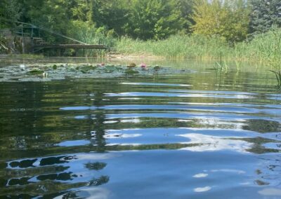Teichzeit.at - Wasserbewegungen